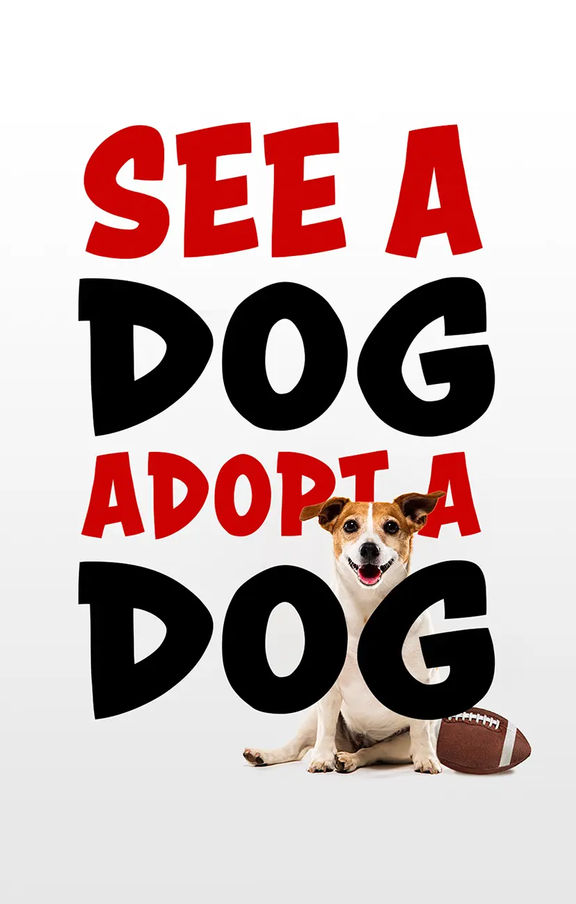 PAWS4you Matches Super Bowl Dogs